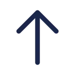 Arrow Up SVG Icon